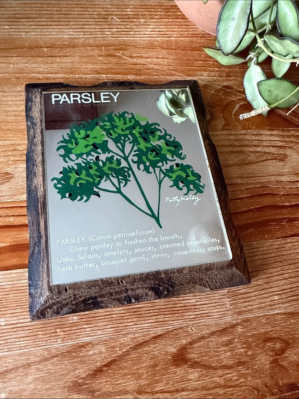 Vintage Parsley Herb Art Mirror Art